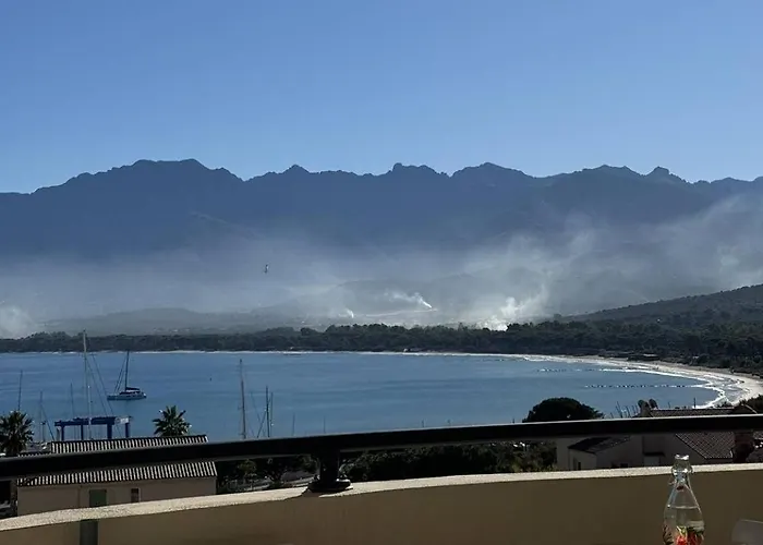 公寓 Terrasse Vue Et Montagne - Centre Et 卡尔维